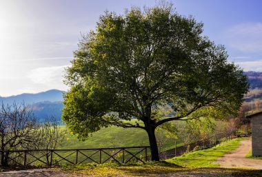 5 nap/4 éjszaka wellness és kikapcsolódás 2 fő részére svédasztalos reggelivel - Grand Hotel Terme Roseo 5 nap/4 éjszaka wellness és kikapcsolódás 2 fő részére svédasztalos reggelivel - Grand Hotel Terme Roseo