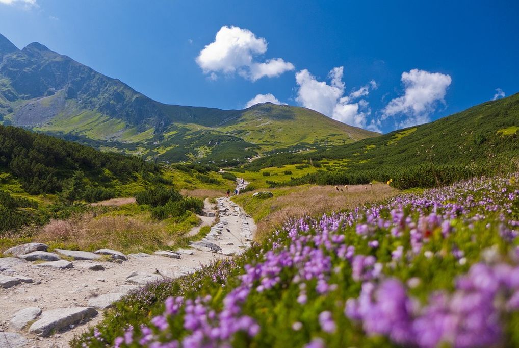 4 nap/ 3 éjszaka 2 fő részére 1 hálószobás apartmanban a Magas-Tátra mellett - Tatragolf Mountain Resort 4 nap/ 3 éjszaka 2 fő részére 1 hálószobás apartmanban a Magas-Tátra mellett - Tatragolf Mountain Resort