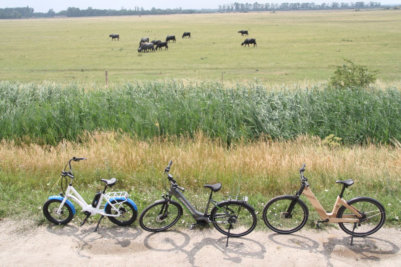 Ízek, imák, Szerelmek 1 napos e-bike túra a Fertő-tájon Ízek, imák, Szerelmek 1 napos e-bike túra a Fertő-tájon